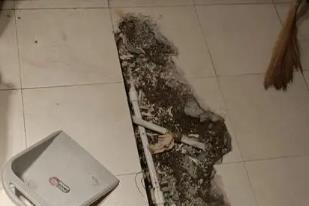 牡丹江市卫生间漏水检测电话